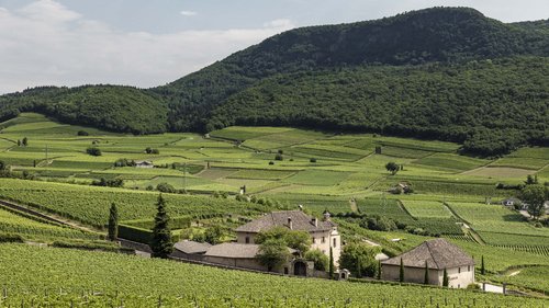 Ferienwohnungen am Kalterer See für Freigeister Ferienwohnungen am Kalterer See für Freigeister